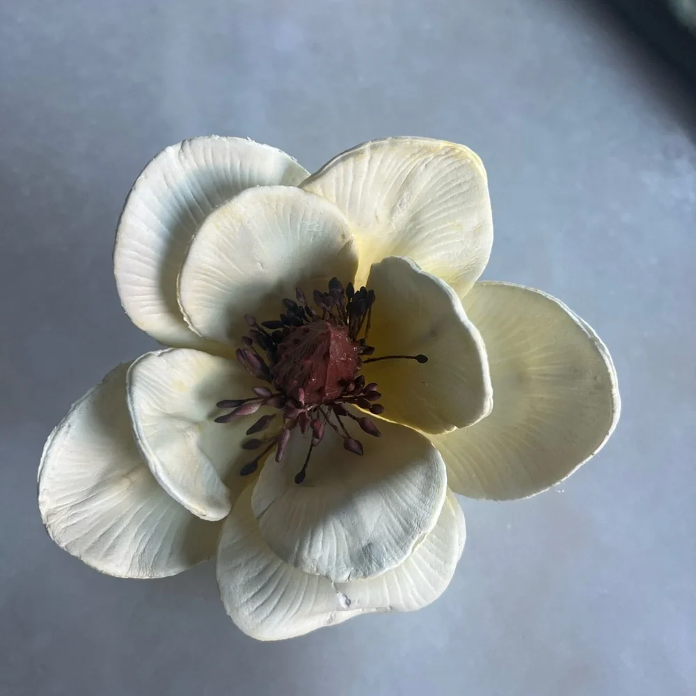 Z Gallerie Vintage Magnolia Napkin Rings – Set of 6 – Cream Floral Table Decor